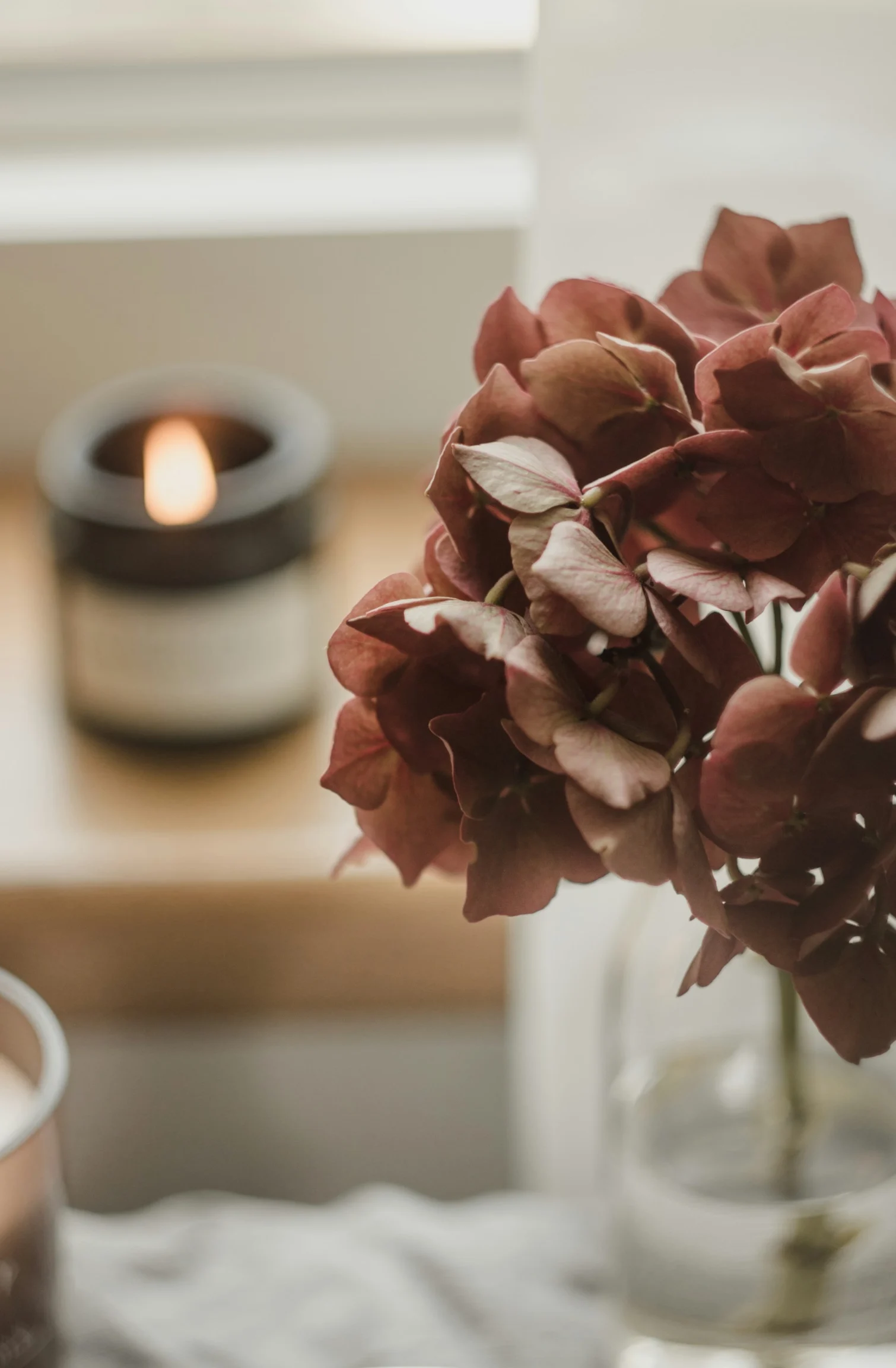 svitlana-pRkZZr7EQbQ-unsplash